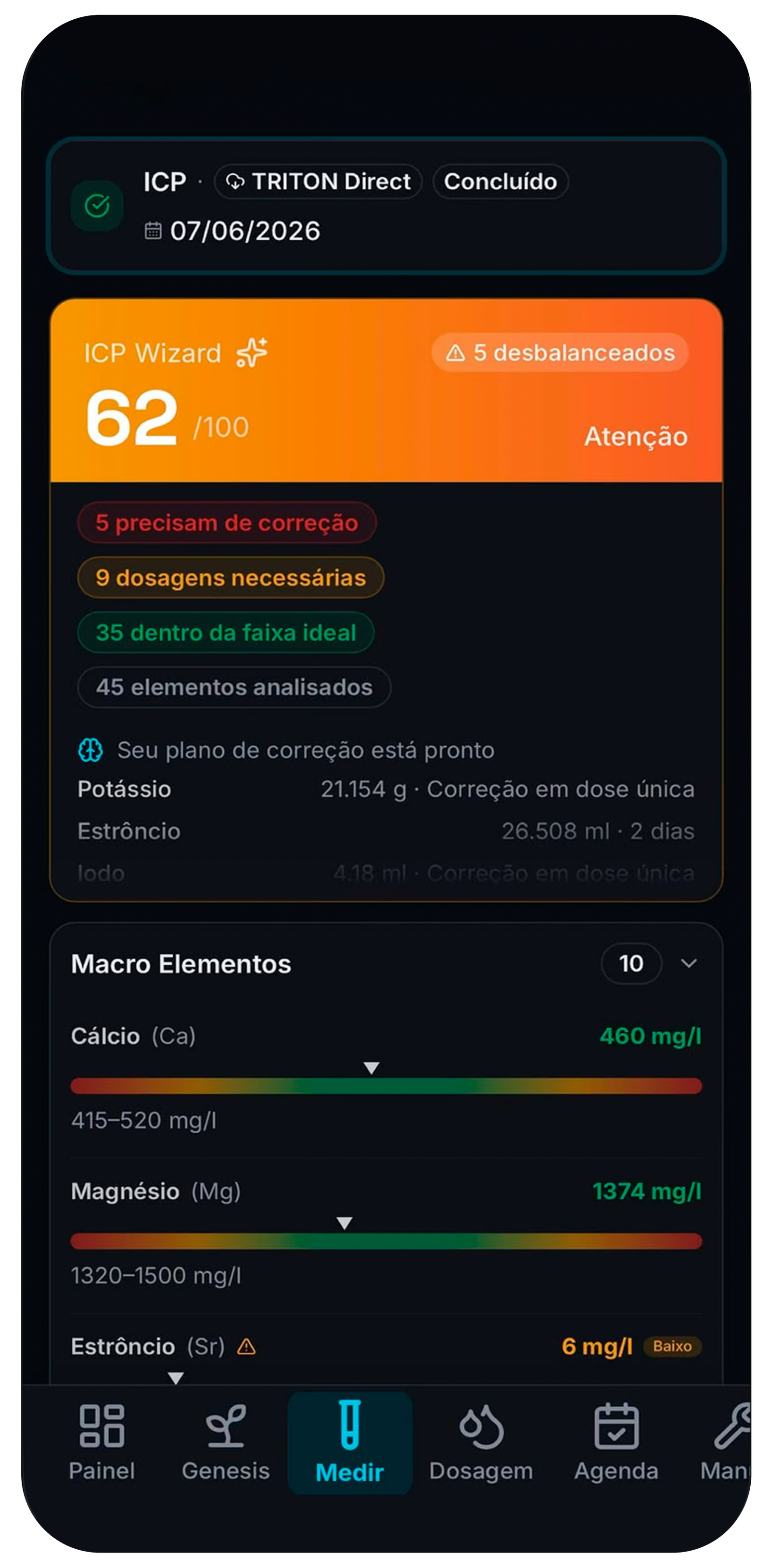 ICP Wizard com nota 62 de 100 e plano de correção por elemento